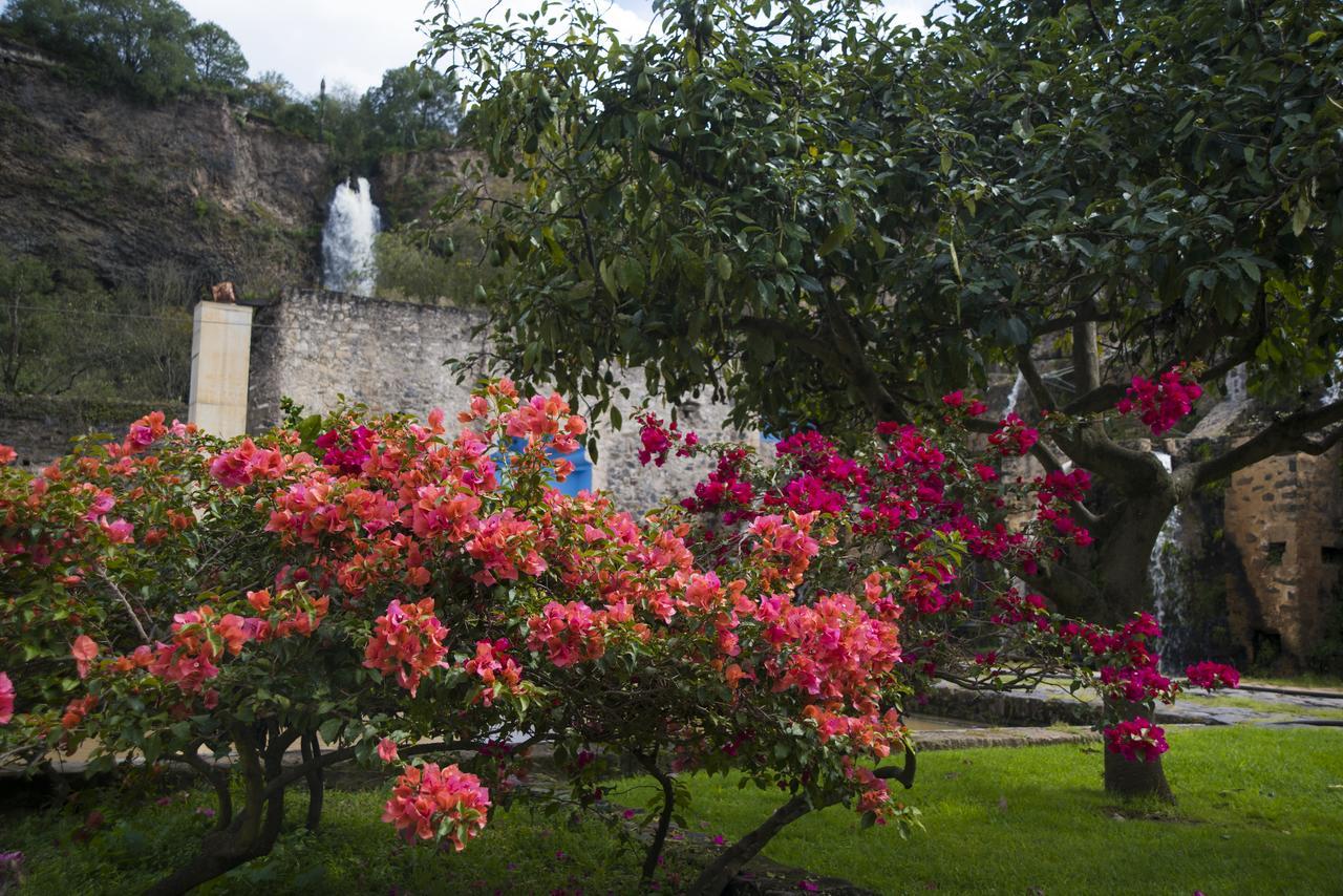 Hacienda Santa Maria Regla Otel Huasca de Ocampo Dış mekan fotoğraf