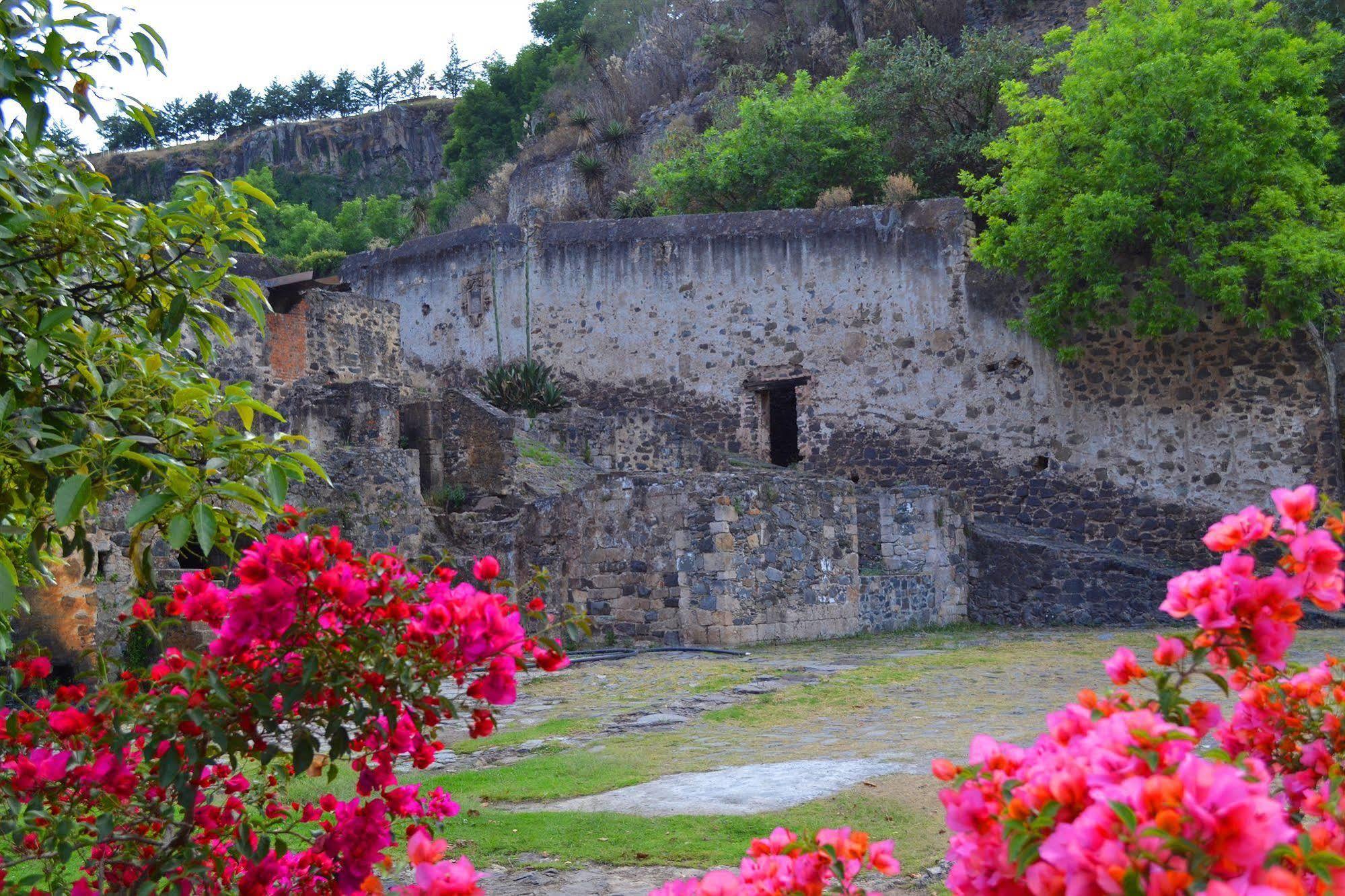 Hacienda Santa Maria Regla Otel Huasca de Ocampo Dış mekan fotoğraf